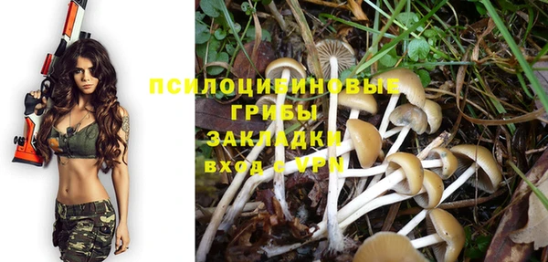 экстази Медвежьегорск