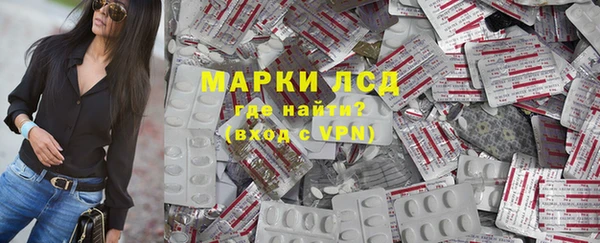хмурый Чита