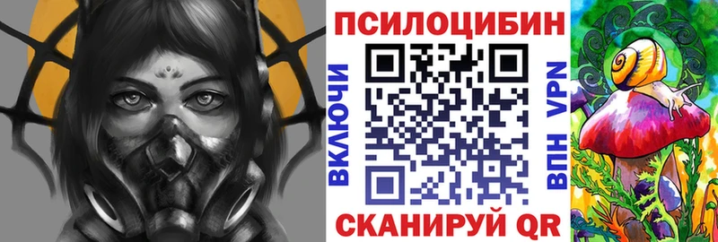 купить  цена  Копейск  Галлюциногенные грибы GOLDEN TEACHER 