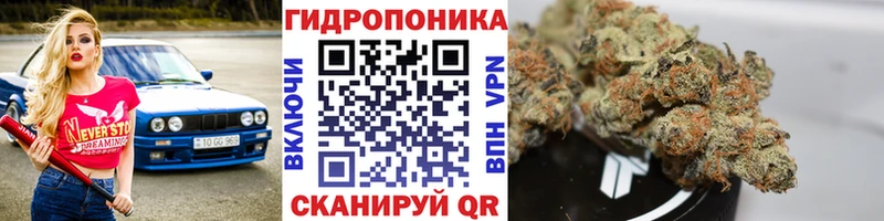 Бошки марихуана THC 21%  как найти закладки  Копейск 
